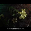 ffvii_remake_trailer_e3_2015_cetraconnection_050