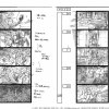 Storyboard Honeybee 2