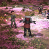 TFS_Part_I_Ch1_08_Sub_2-1_018