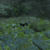 TFS_Part_II_Ch1_09_Main_2-1_Screen_01