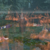 TFS_Part_II_Ch2_10_Main_3-1_16