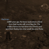 TFS_Part_II_Ch2_12_Beyond_1_06