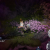 TFS_Part_II_Ch2_13_Beyond_2_14