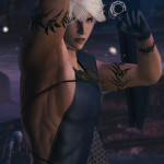 Mevius-Final-Fantasy_2014_12-25-14_004